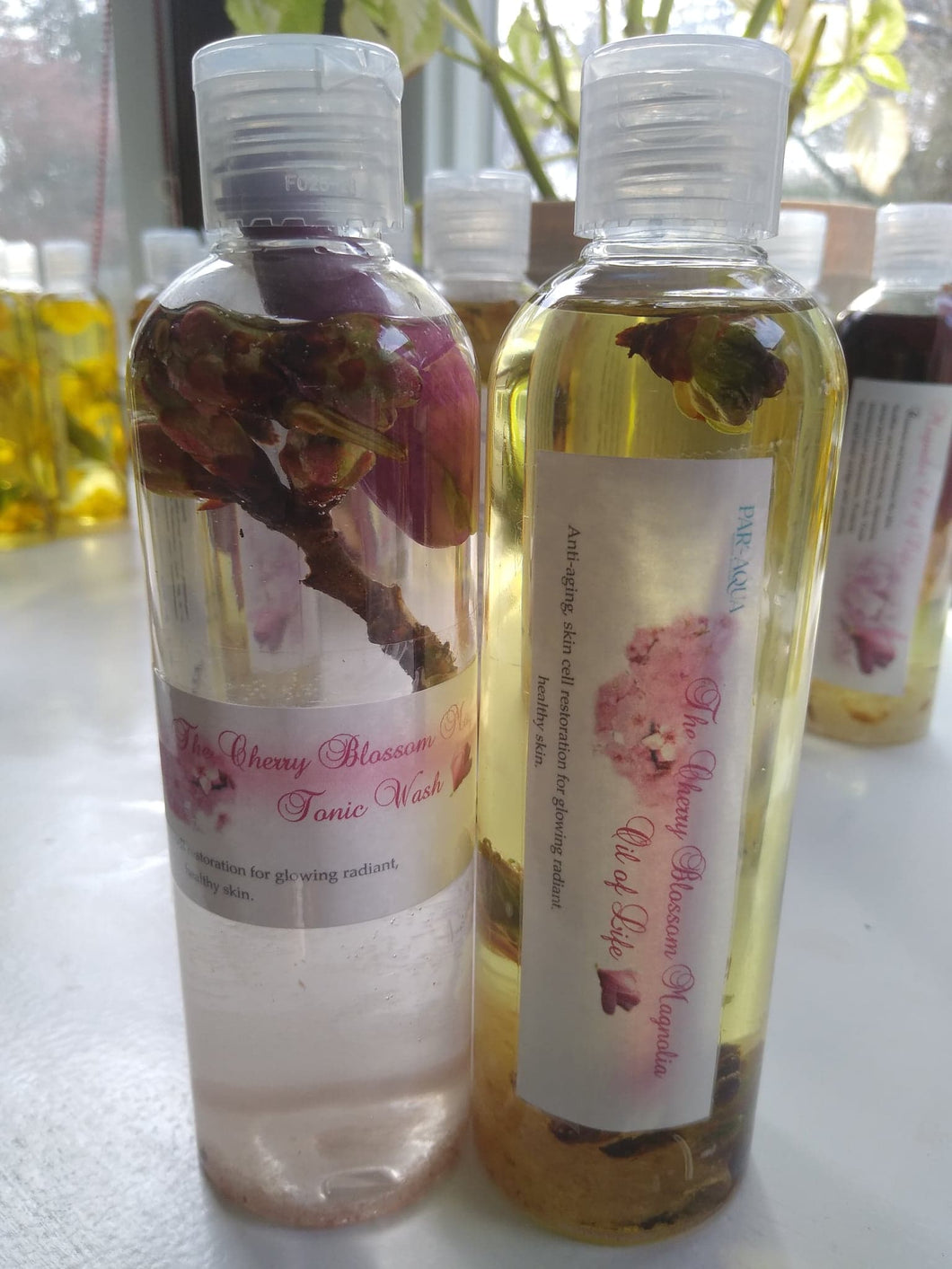 The Cherry Blossom Tonic Wash and Oil