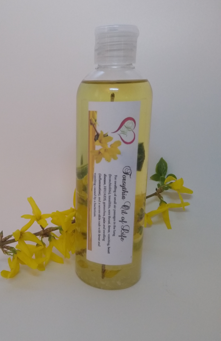 The Forsythia Oil of Life